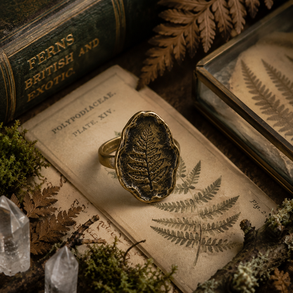 The Forgotten Fern Ring